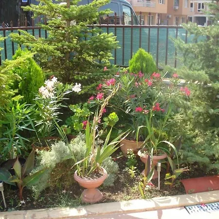 однокомнатные Summer Breeze 207 Lägenhet Slăntjev Brjag